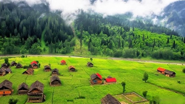 04282959255939482437