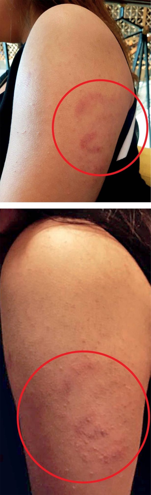 abuse-1495688806 (1)